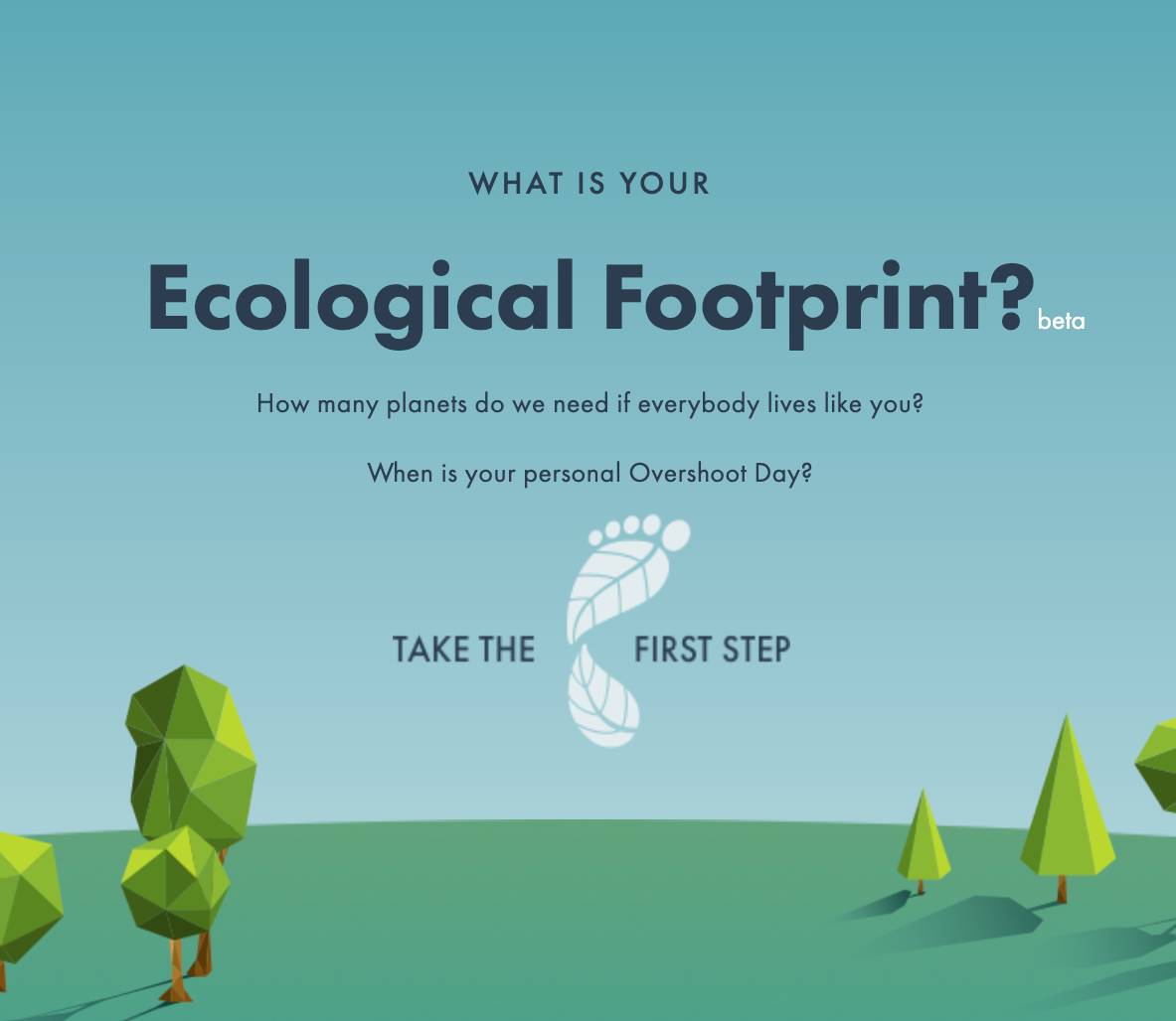 example footprint calculator